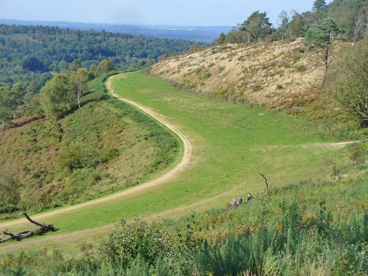Haslemere to Witley Station Walk