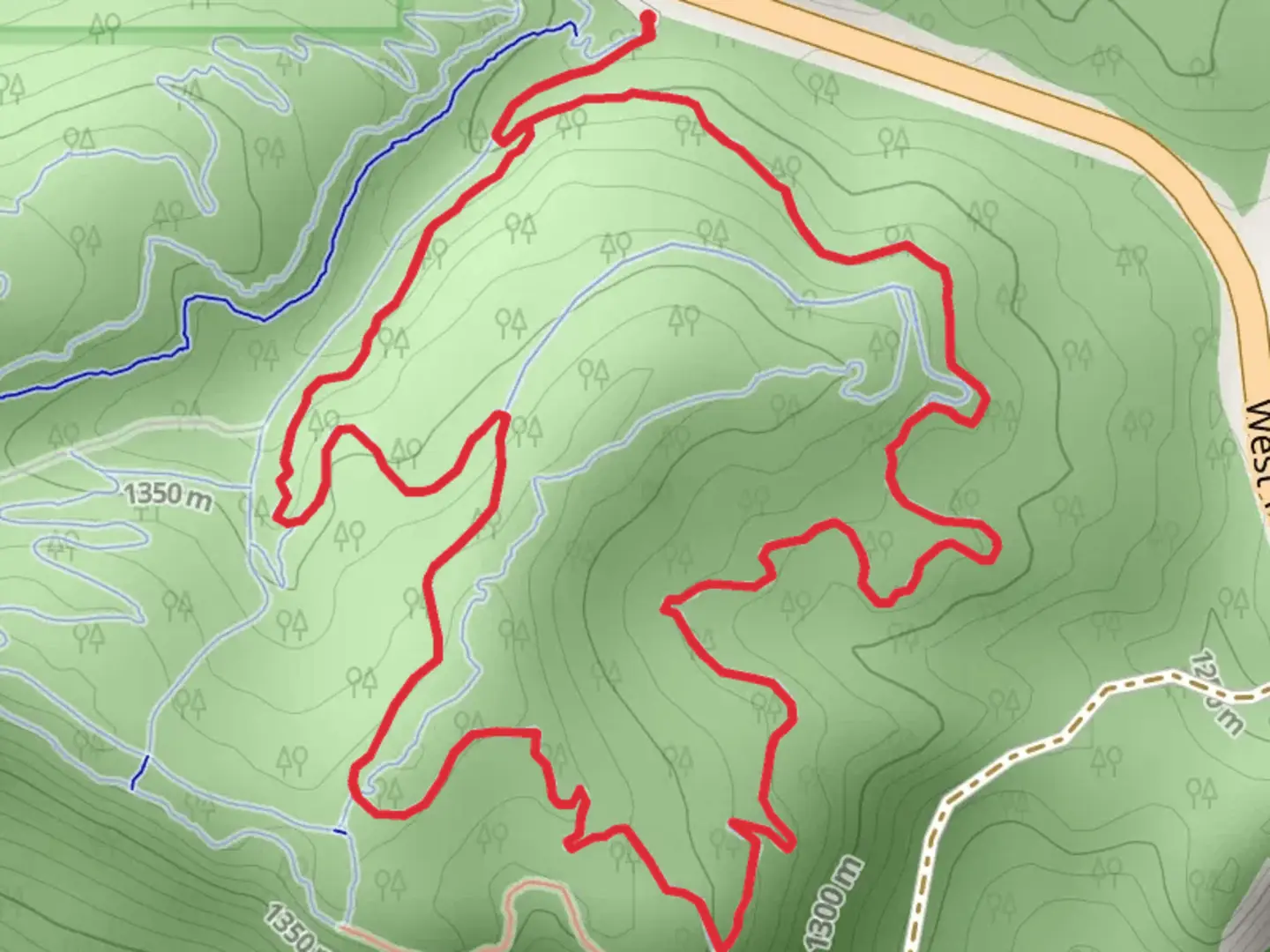 An image depicting the trail Stumpy and Buzzard's Loop and its surrounding area.