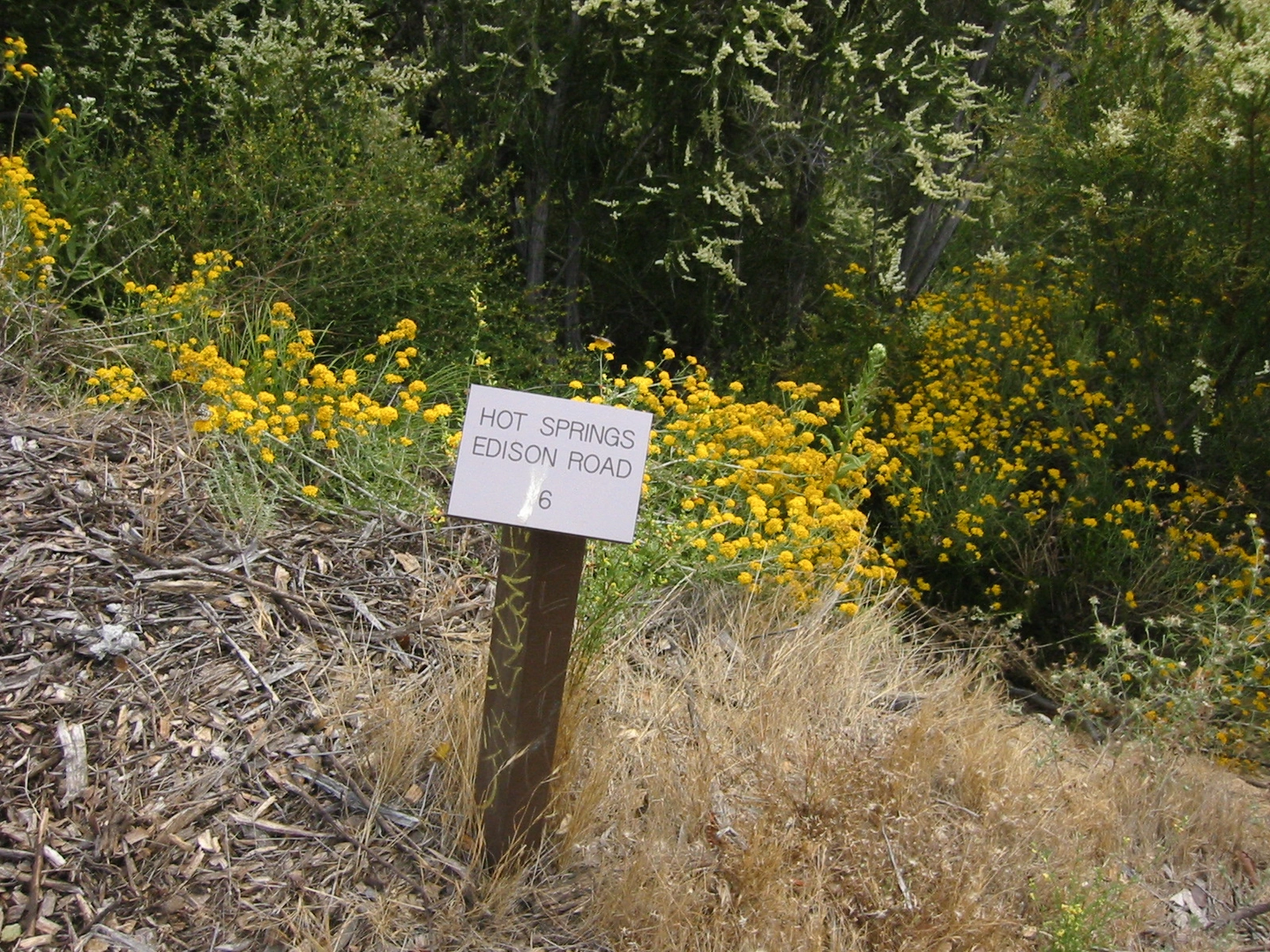 An image depicting the trail Cold - Hot Springs Loop Trail and its surrounding area.