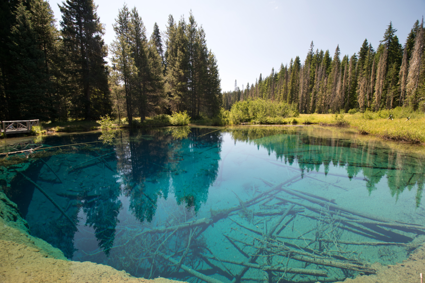 An image depicting the trail Little Crater Lake Trail and its surrounding area.