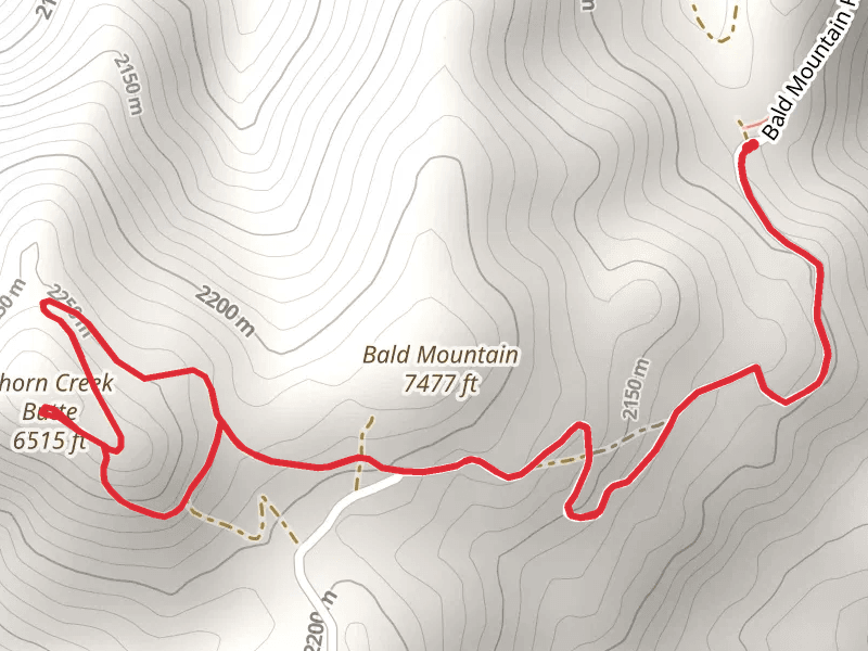 Bald Mountain from Bald Mountain Campground