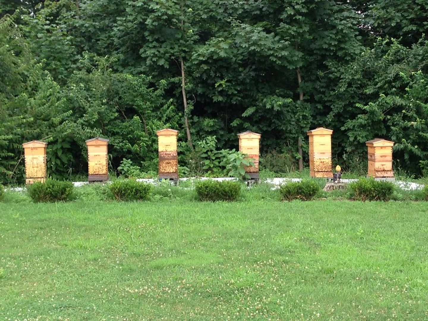 An image depicting the trail Sands Point Park and Preserve Loop and its surrounding area.