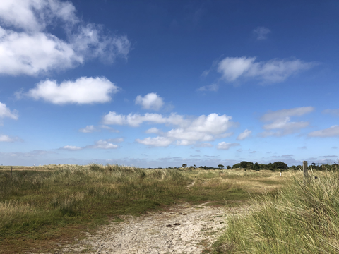 Schiermonnikoog and Kaap Willemsduin