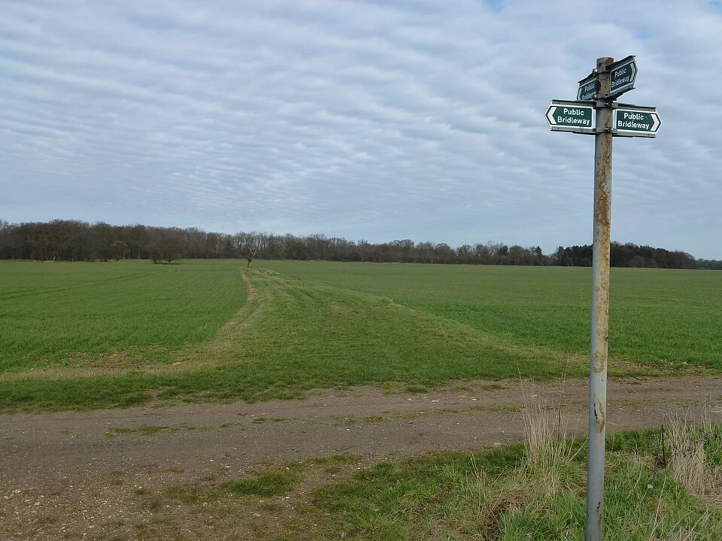 An image depicting the trail Castor Hanglands NNR and its surrounding area.