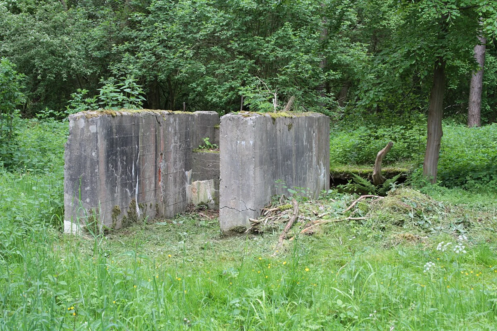 An image depicting the trail Walpersberg Loop and its surrounding area.