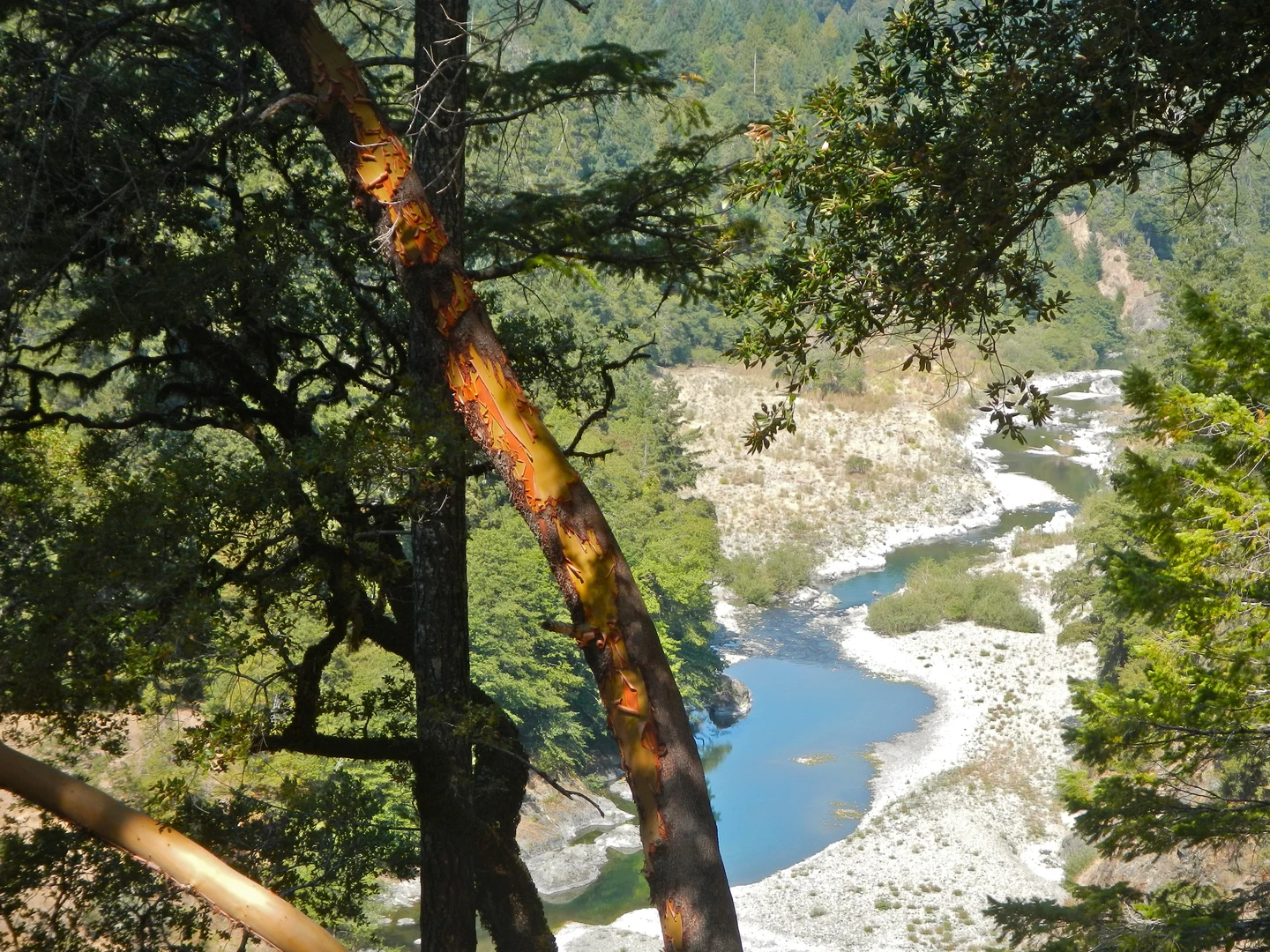 An image depicting the trail Standish-Hickey State Recreation Area Loop and its surrounding area.