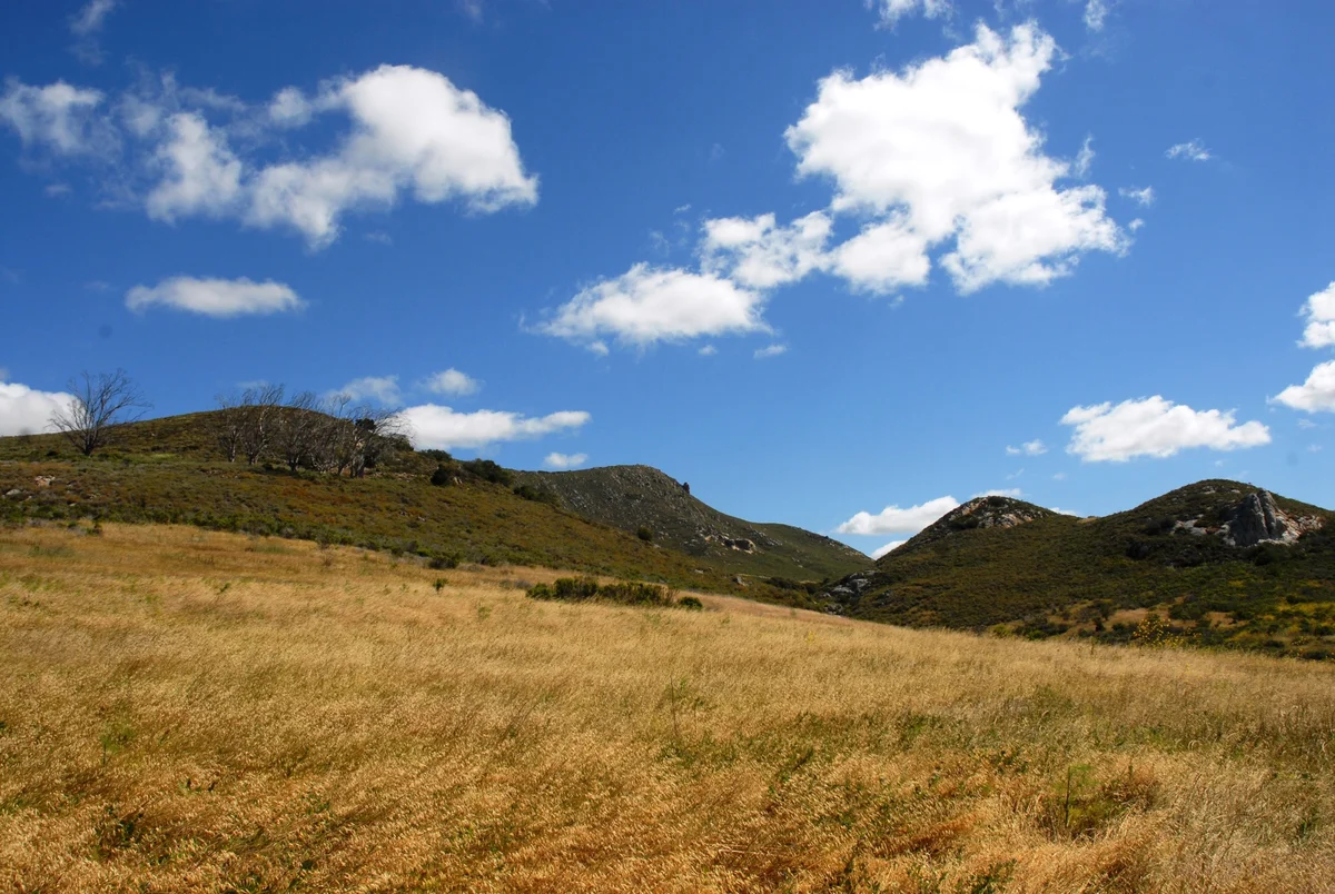 Cerro Cabrillo via Quarry Trail