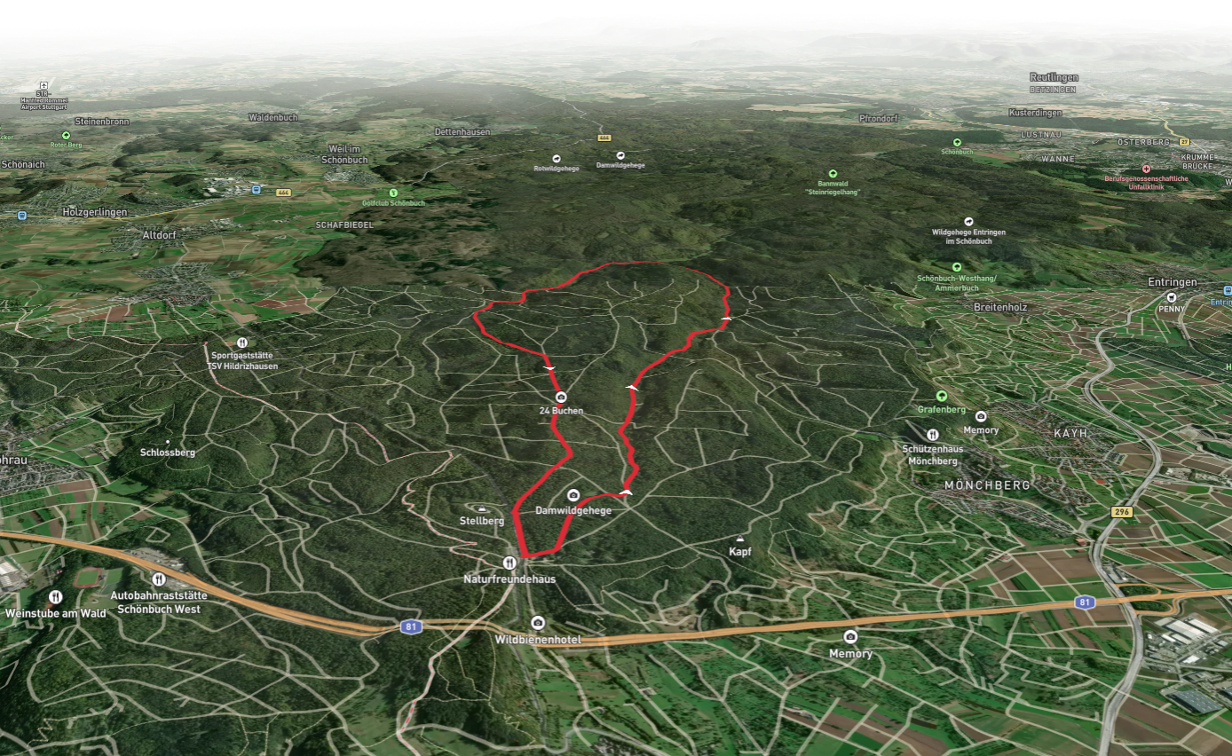 24 Buchen via Blauer Punkt