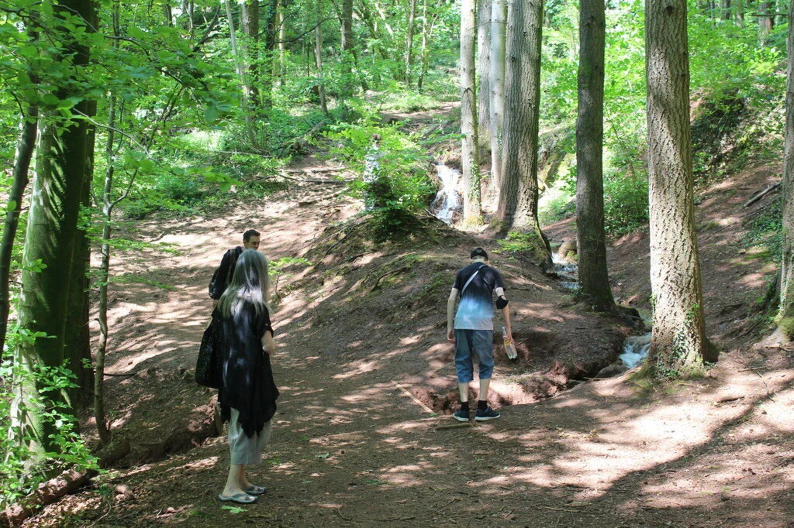 An image depicting the trail Fforest Fawr Loop and its surrounding area.
