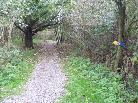 An image depicting the trail Foley and Vinters Park Loop and its surrounding area.