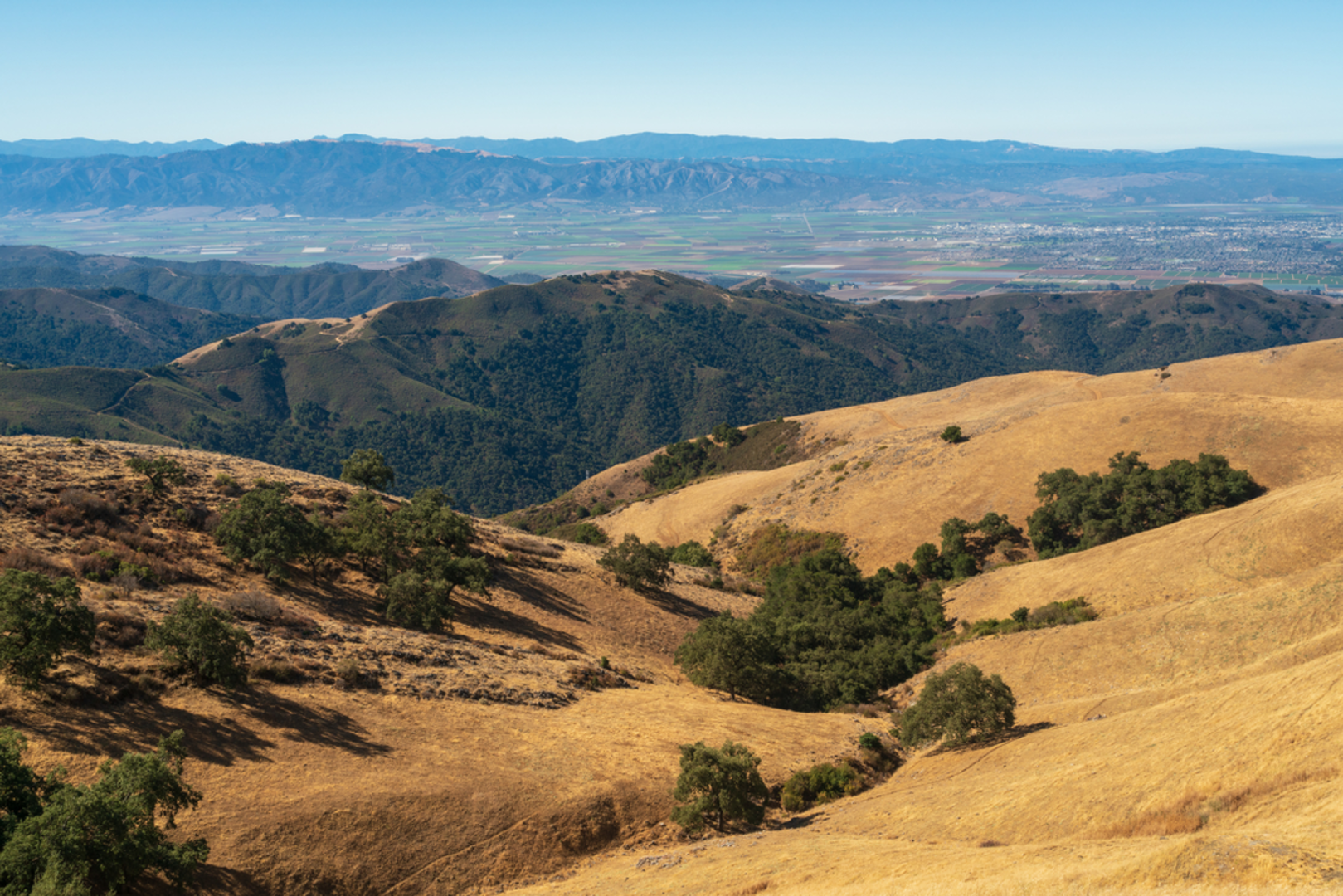 An image depicting the trail Fremont Peak Loop - Fremont Peak State Park and its surrounding area.