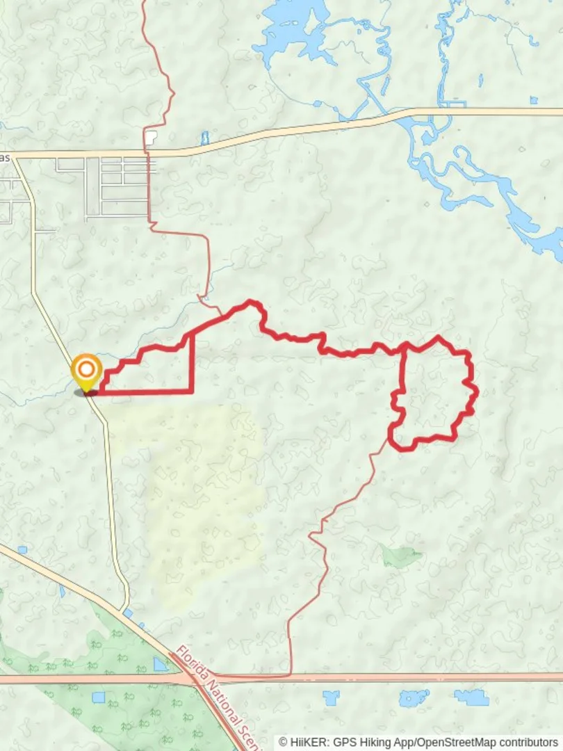 An image depicting the trail Tootoosahatchee Wildlife Management Area Loop and its surrounding area.
