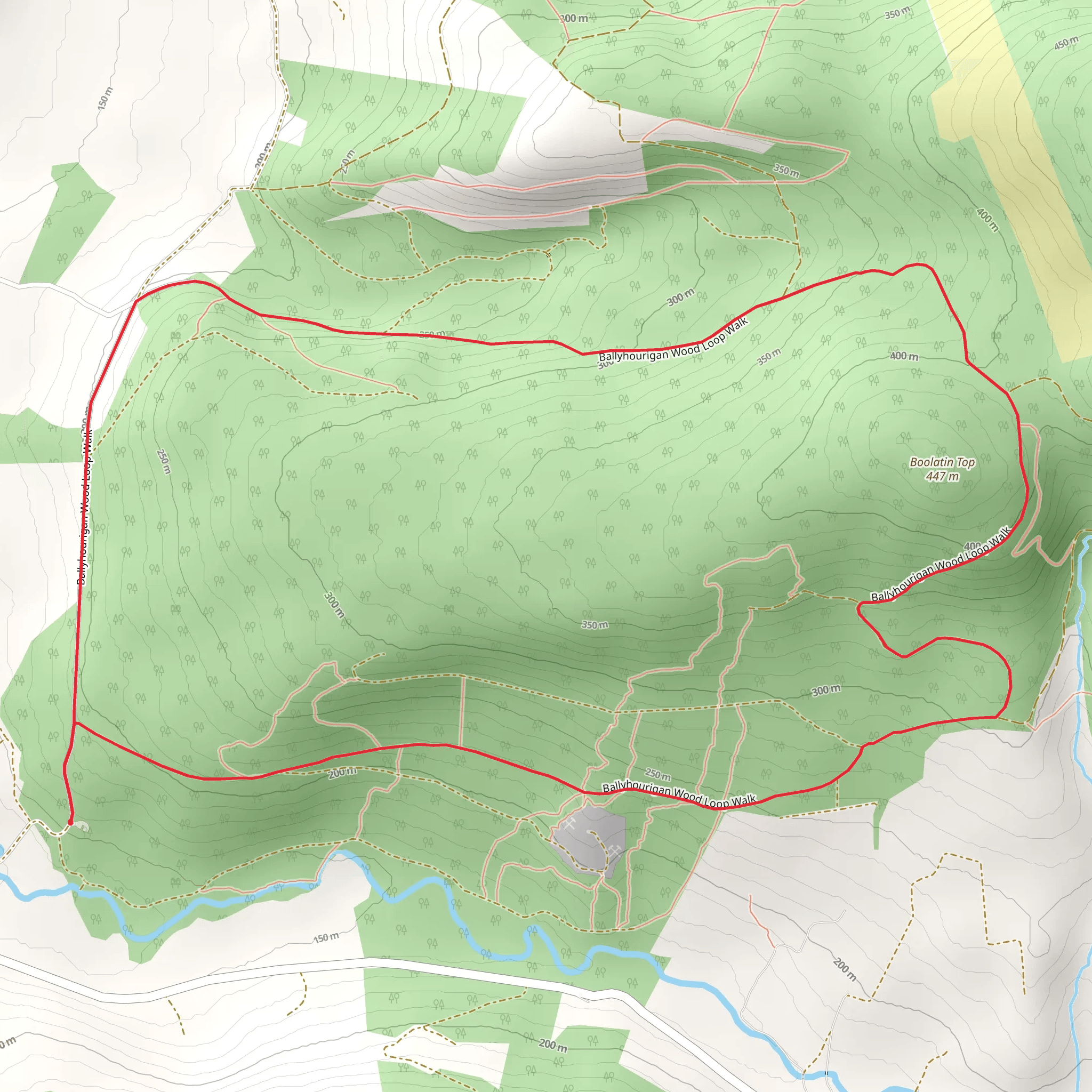 Ballyhourigan Woods Loop mobile static map