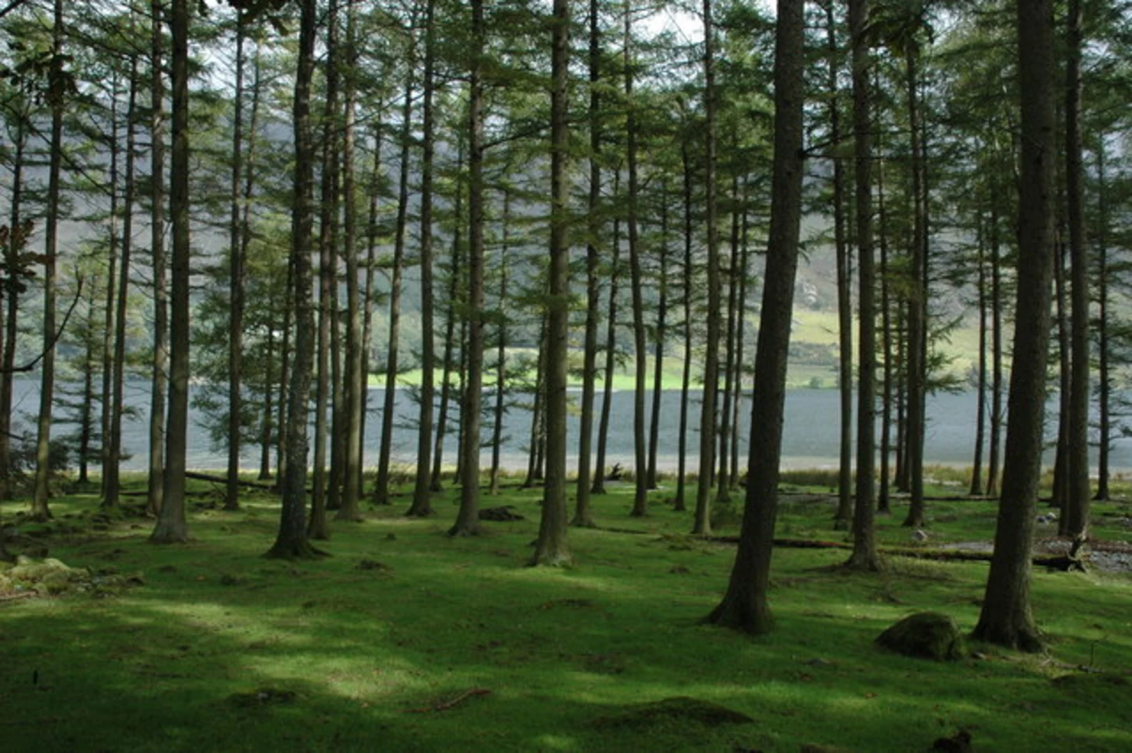 An image depicting the trail Haystacks from Gatesgarth near Buttermere Reservoir and its surrounding area.