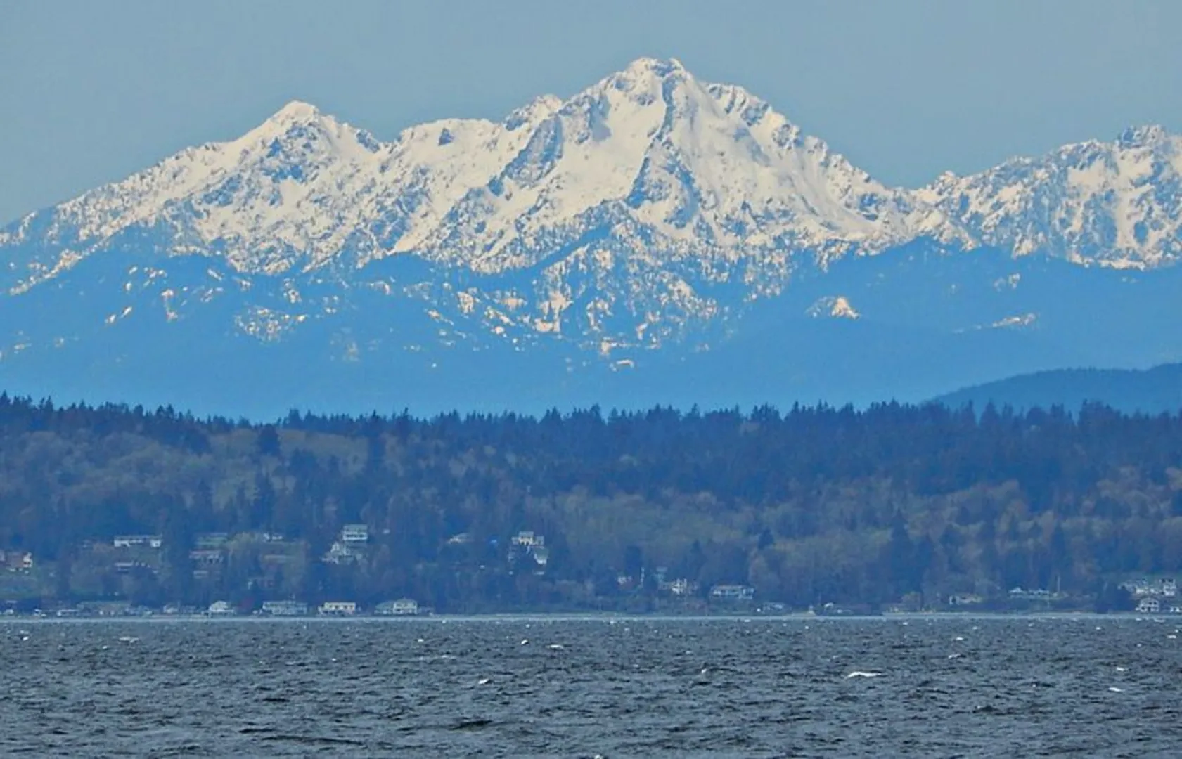 An image depicting the trail Upper Mt Ellinor Trail and its surrounding area.