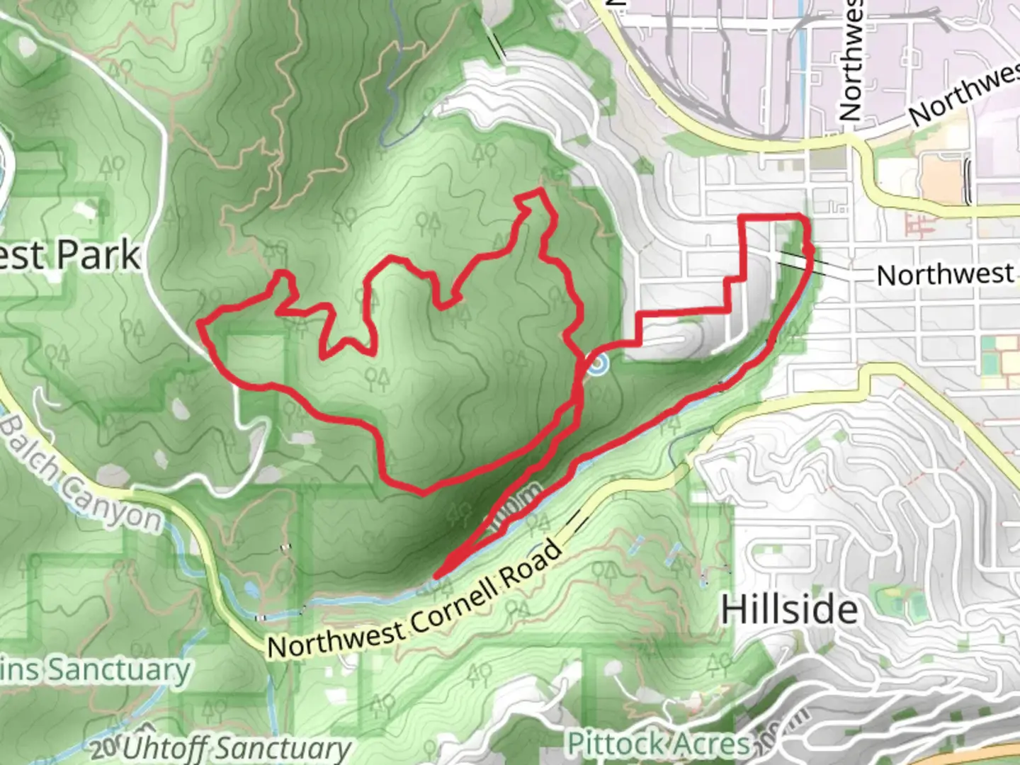 An image depicting the trail Lower Macleay - Wildwood Loop Trail and its surrounding area.