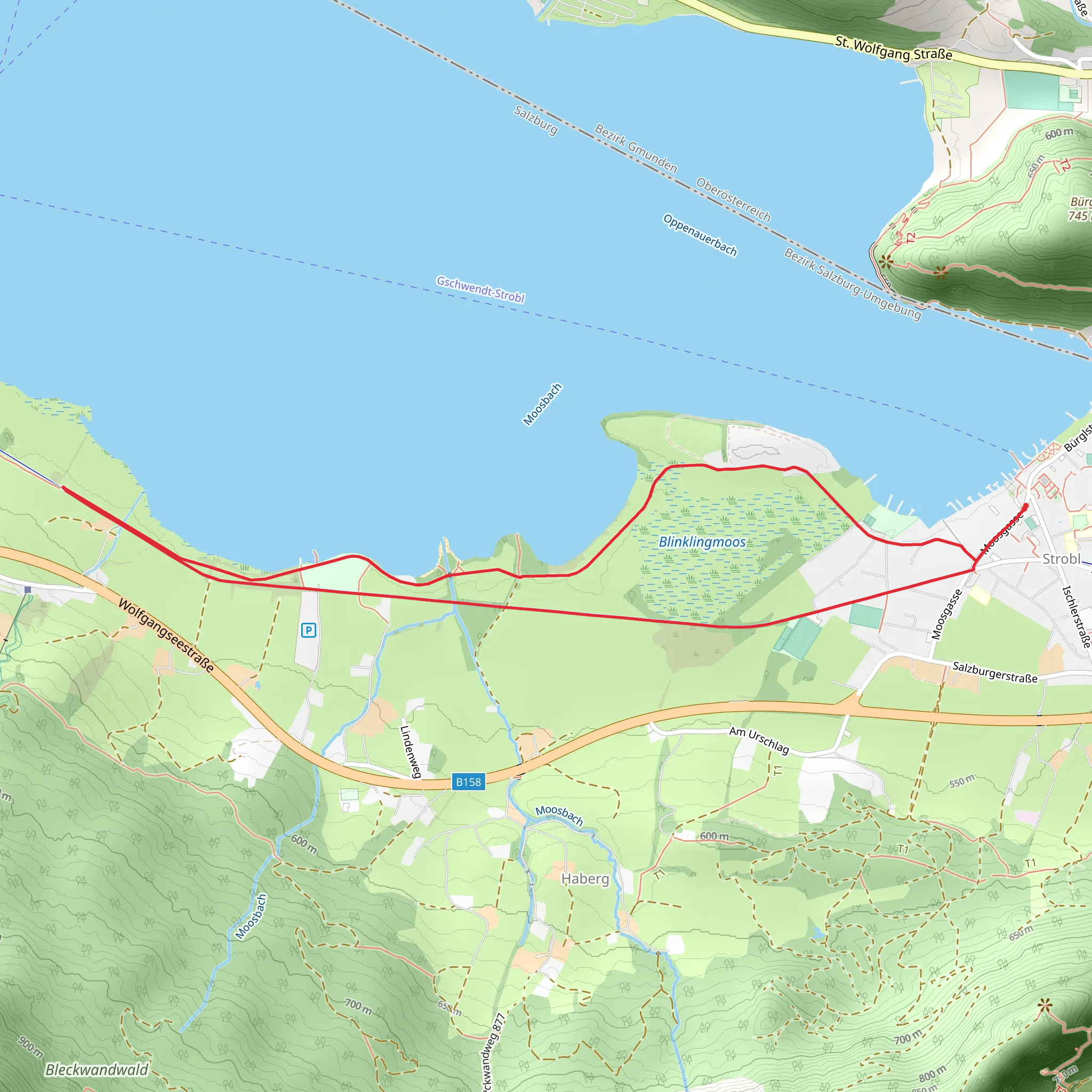 Blinklingmoos Loop mobile static map
