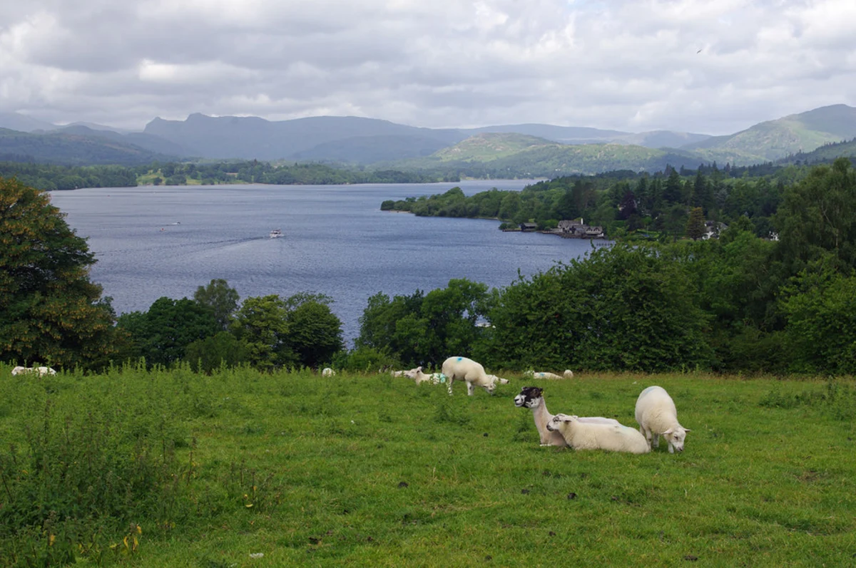 Queen Adelaide Hill and Windermere Loop