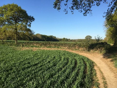 An image depicting the trail Nine Acre Copse via Roman Way and its surrounding area.