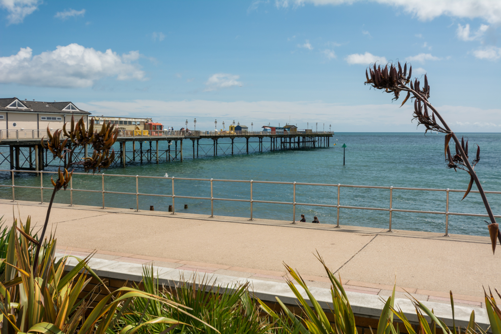 An image depicting the trail Explore Shaldon from Teignmouth NCI and its surrounding area.