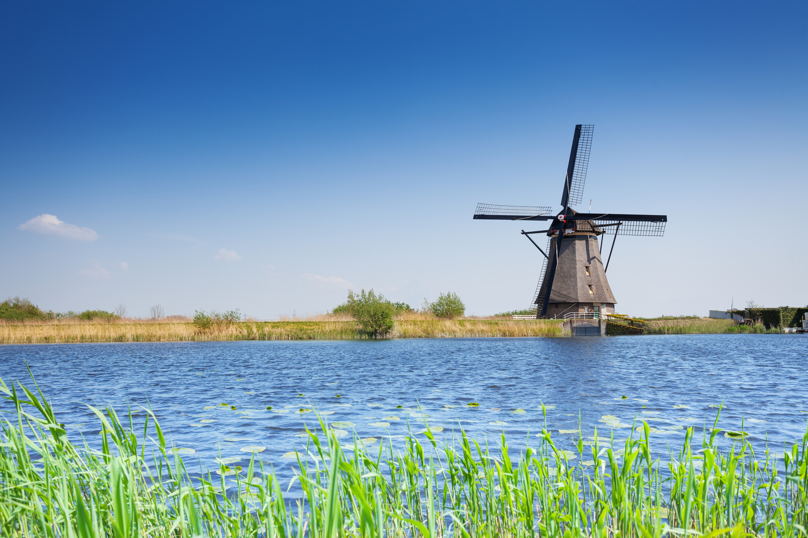 An image depicting the trail Wittensteinpark, Janusplaat and Zanddijk Loop and its surrounding area.