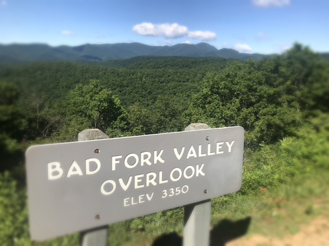 An image depicting the trail Bear Branch Loop Trail and its surrounding area.
