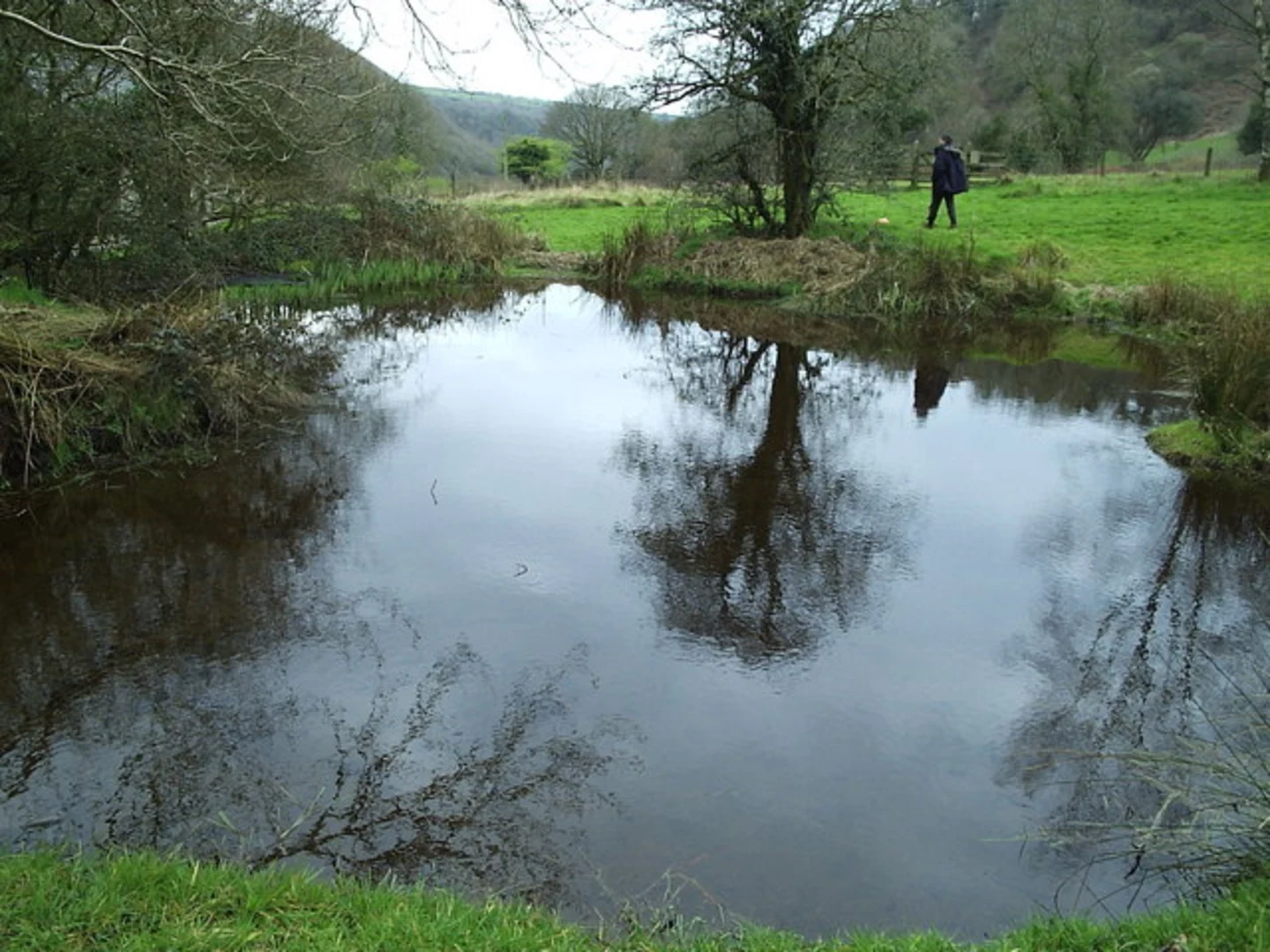An image depicting the trail Cwm Gwaun Walk and its surrounding area.