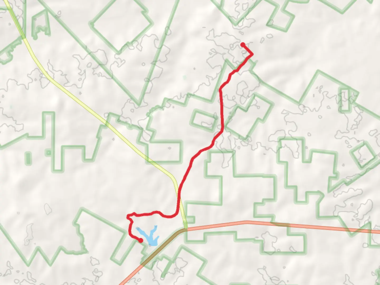 An image depicting the trail Ratcliff Lake to County Road 2729 and its surrounding area.