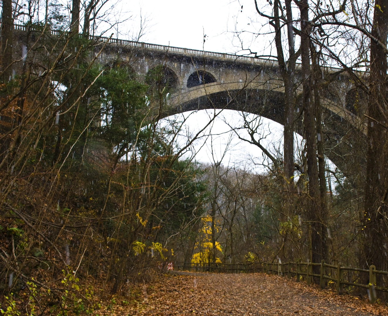 An image depicting the trail Walnut Street Bridge Trail and its surrounding area.
