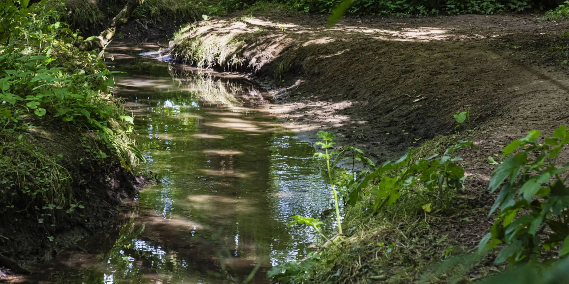 An image depicting the trail Green Street Green Circular and its surrounding area.