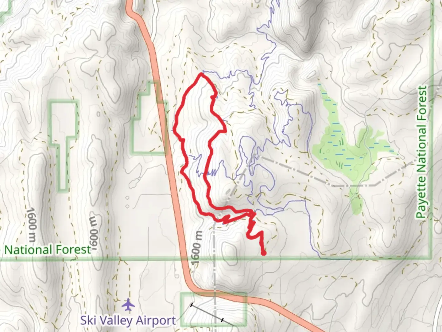 An image depicting the trail Baby Bear, Mama Bear Road and Westy Loop Trail and its surrounding area.