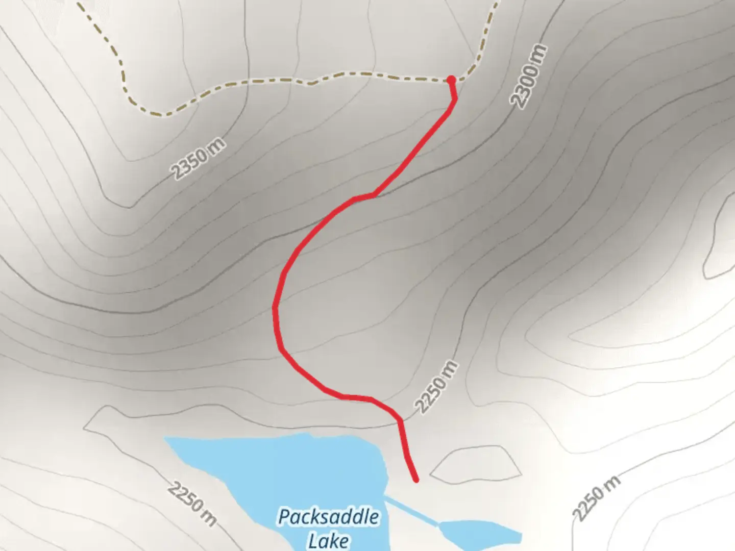 An image depicting the trail Packsaddle Lake Out and Back and its surrounding area.
