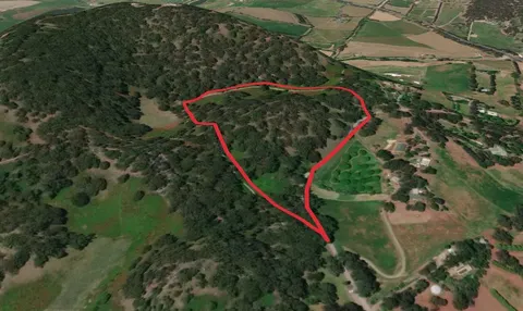 Mount Buninyong - The Crater Trail