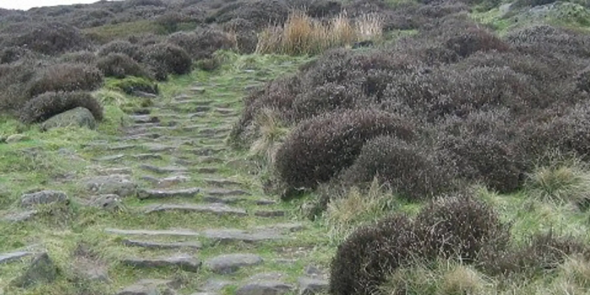 An image depicting the trail Carlton Bank - Scugdale - Raisdale and Kirby Bank and its surrounding area.
