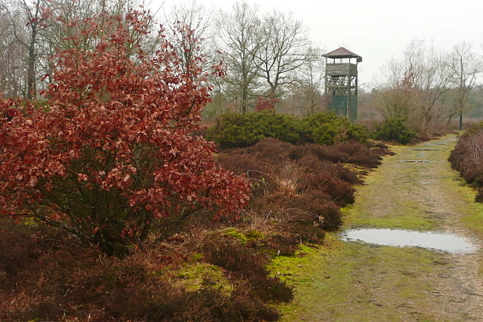 An image depicting the trail Boxford Country Park, Winterbourne Park and Snelsmore Common and its surrounding area.