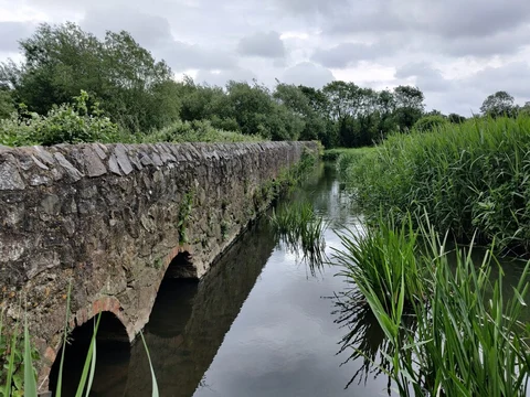 Grand Union Canal Walk - Aylestone Meadows