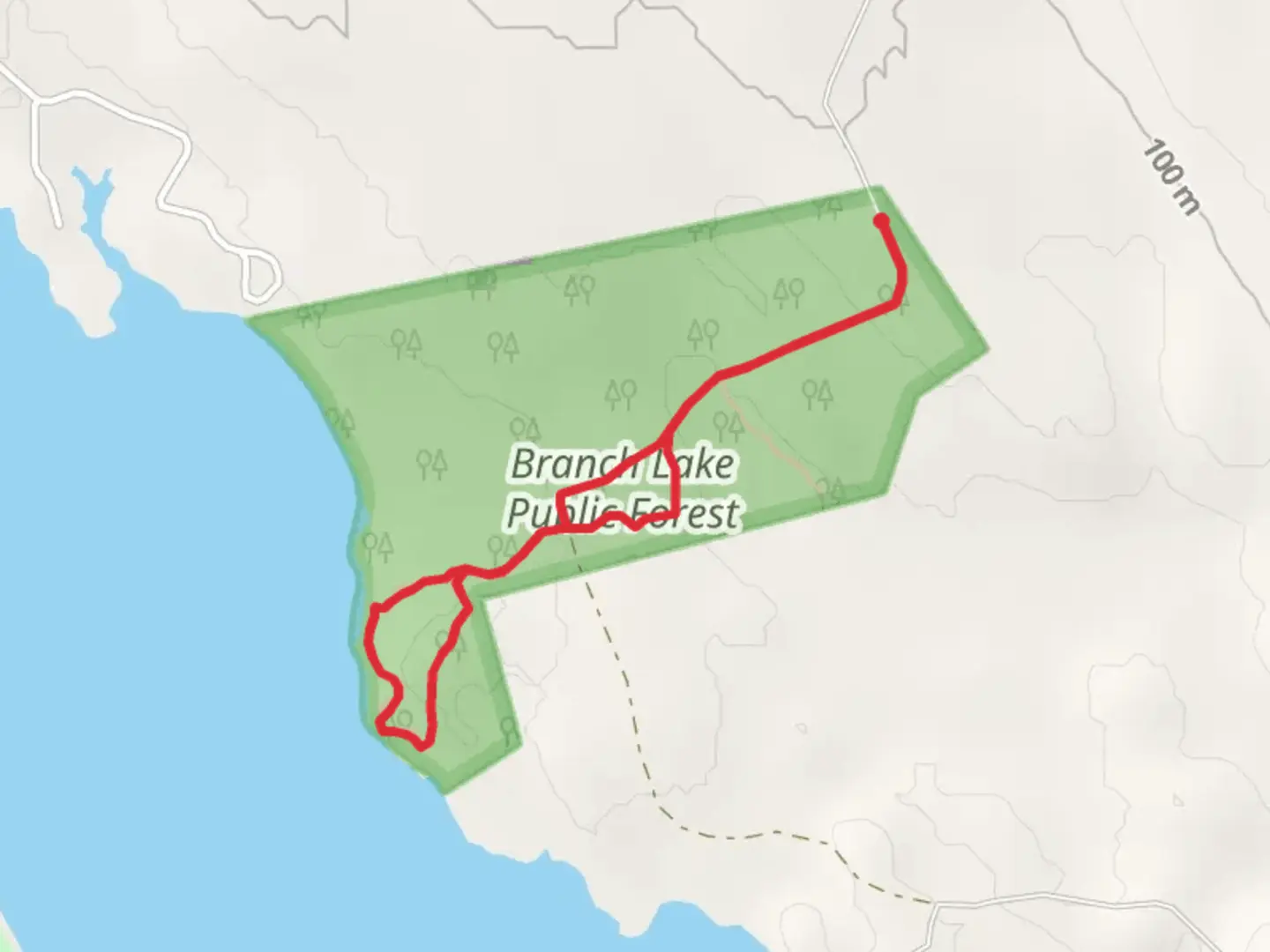 An image depicting the trail Branch Lake Loop - Bangor Road and its surrounding area.