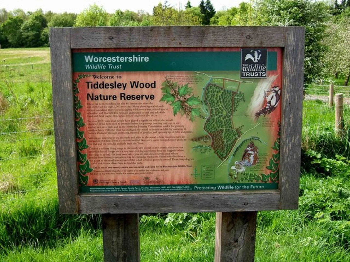 An image depicting the trail Croome Park to Tiddesley Wood Walk and its surrounding area.
