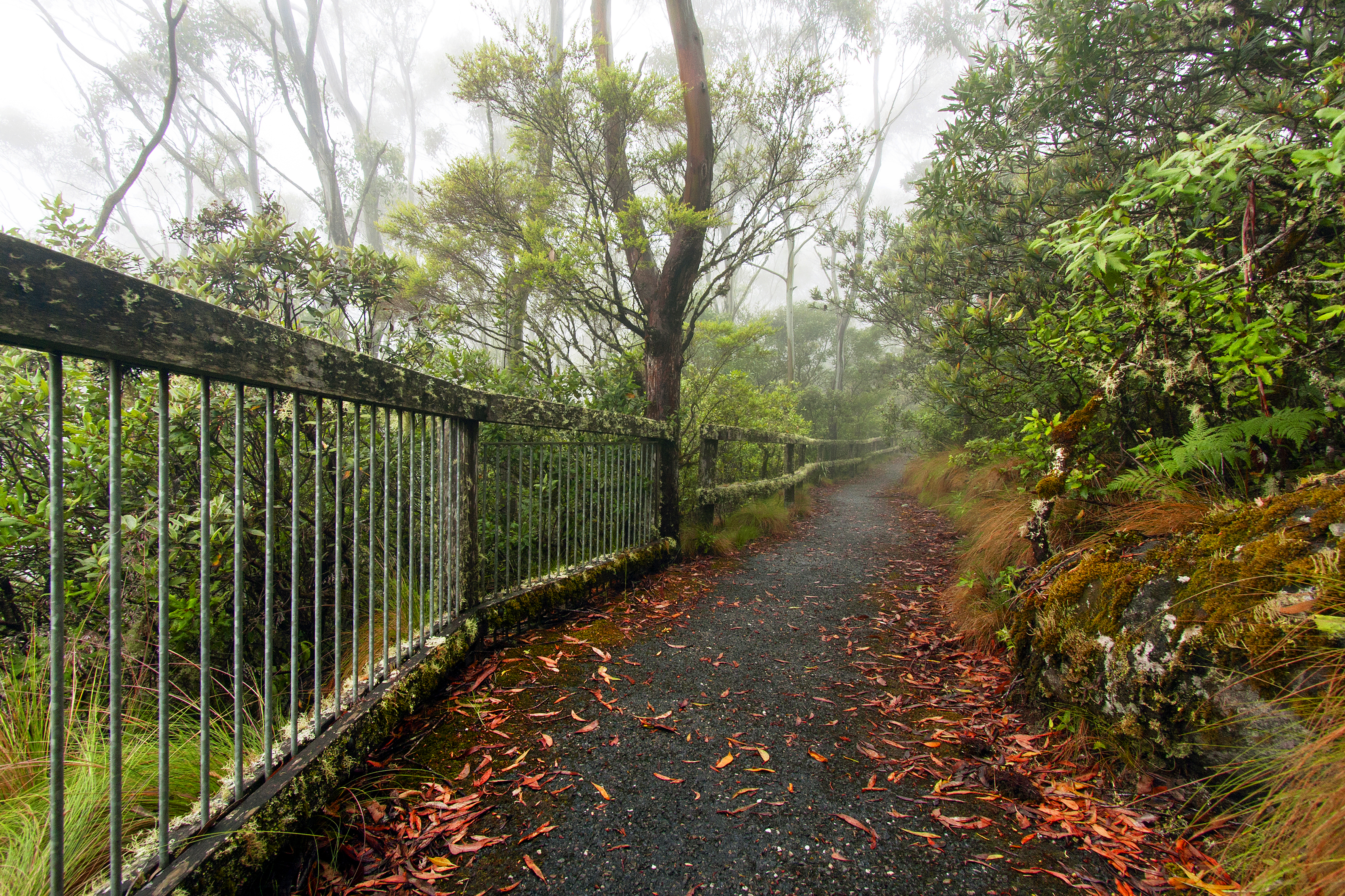 An image depicting the trail New England National Park and its surrounding area.