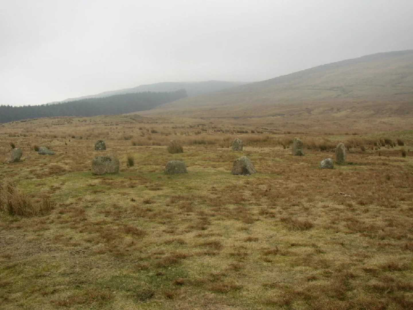 An image depicting the trail Grike and its surrounding area.