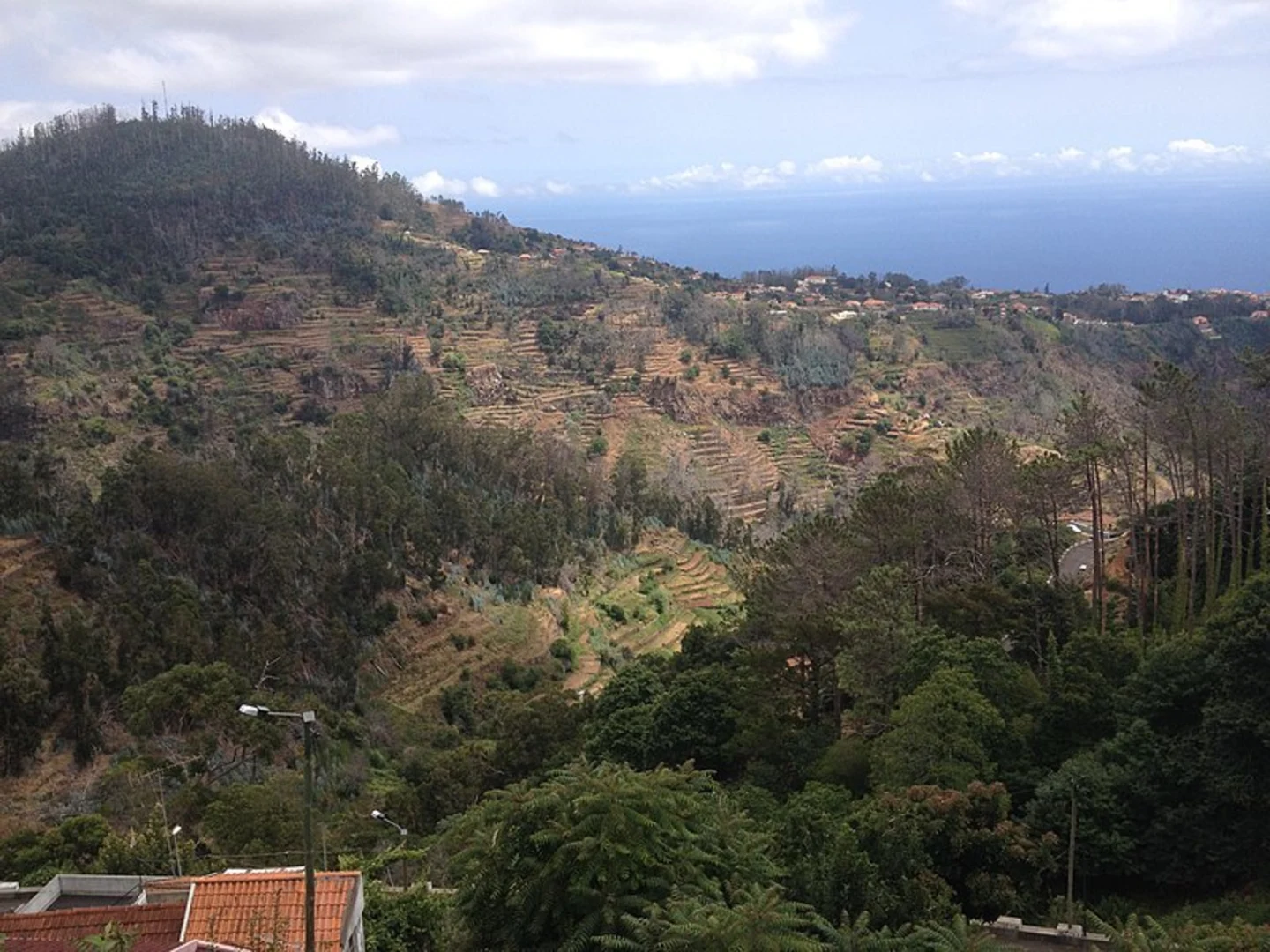 An image depicting the trail Levada da Serra do Faial and its surrounding area.