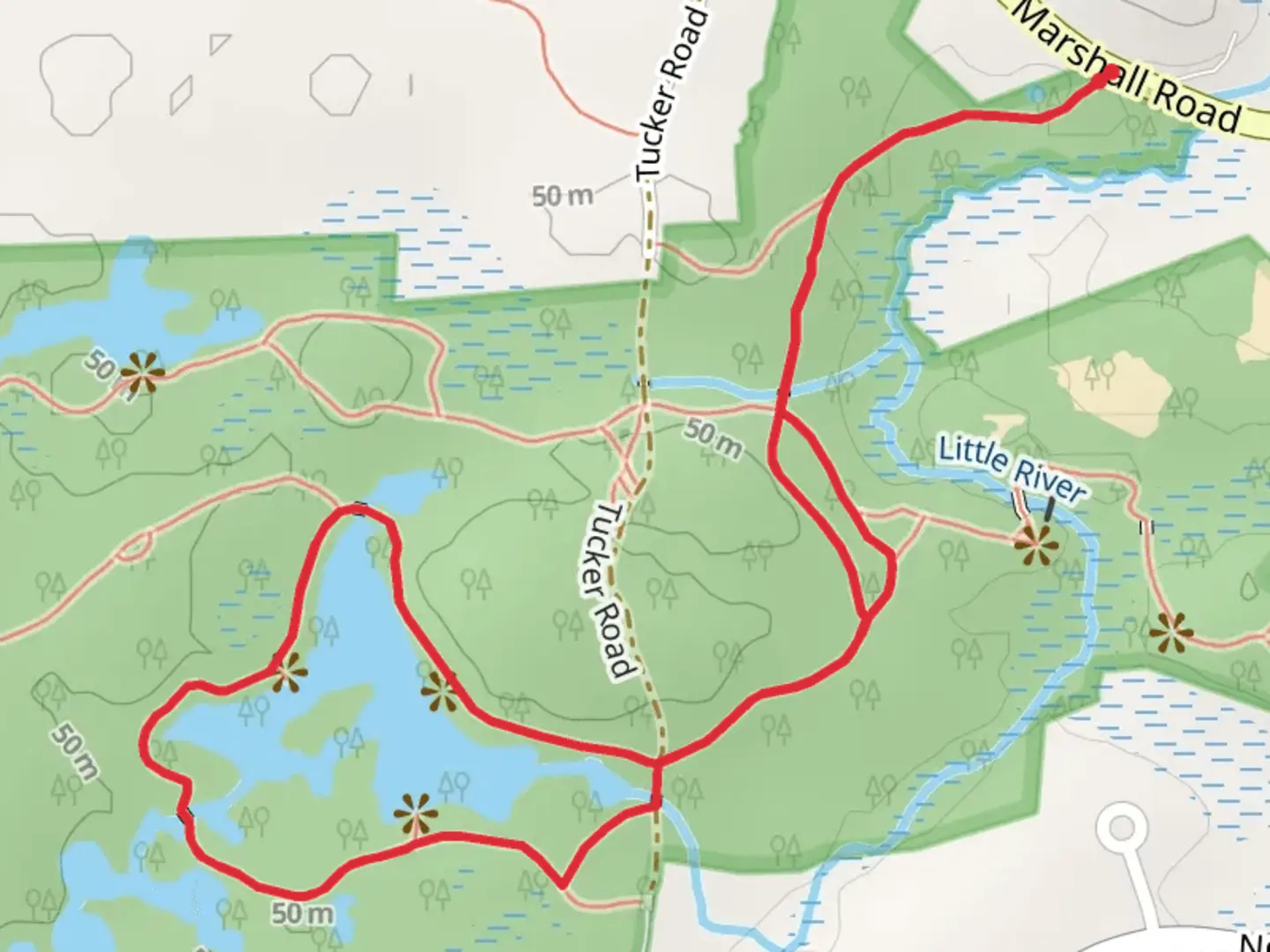 An image depicting the trail Mill Pond Loop Trail and its surrounding area.