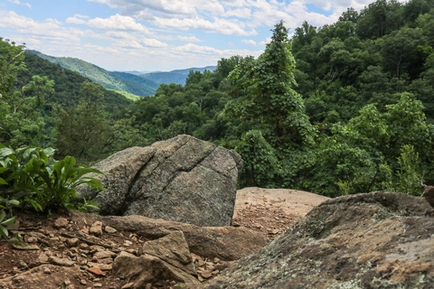 An image depicting the trail Whiteoak Canyon and Cedar Run Loop Trail and its surrounding area.