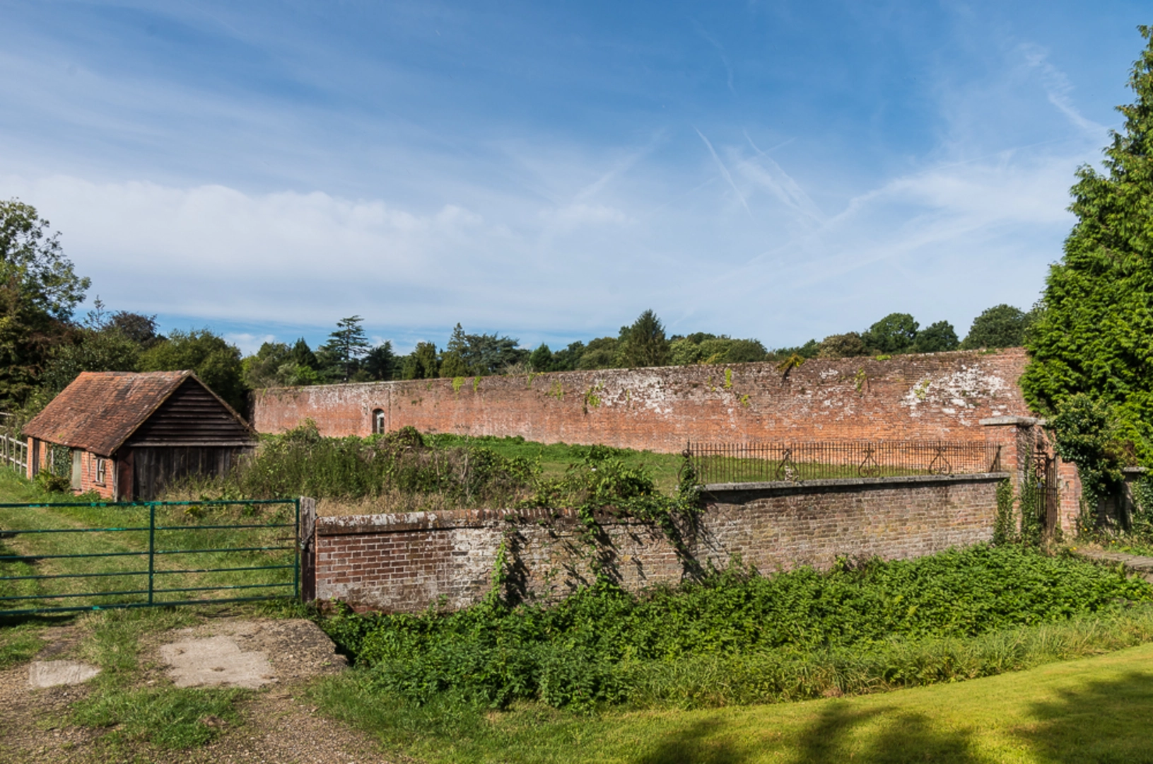 An image depicting the trail Westhumble to Holmwood Walk and its surrounding area.