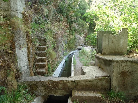 Levada Nova