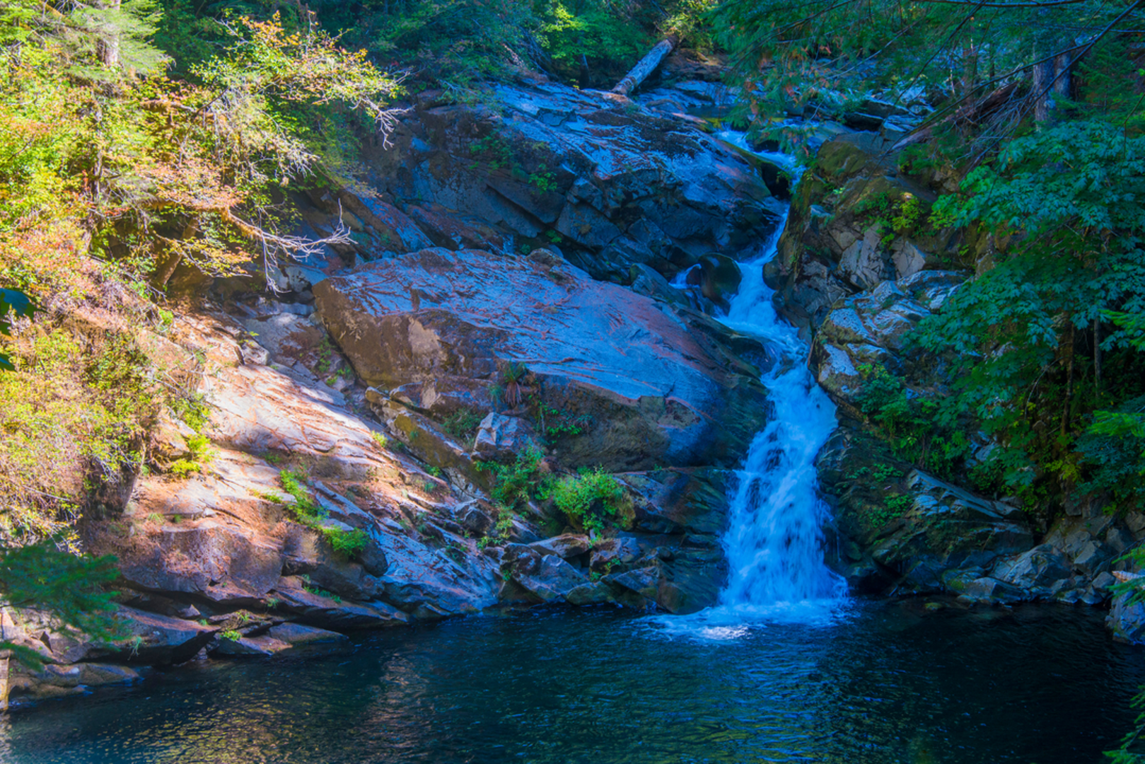An image depicting the trail Siouxon Peak Trail and its surrounding area.