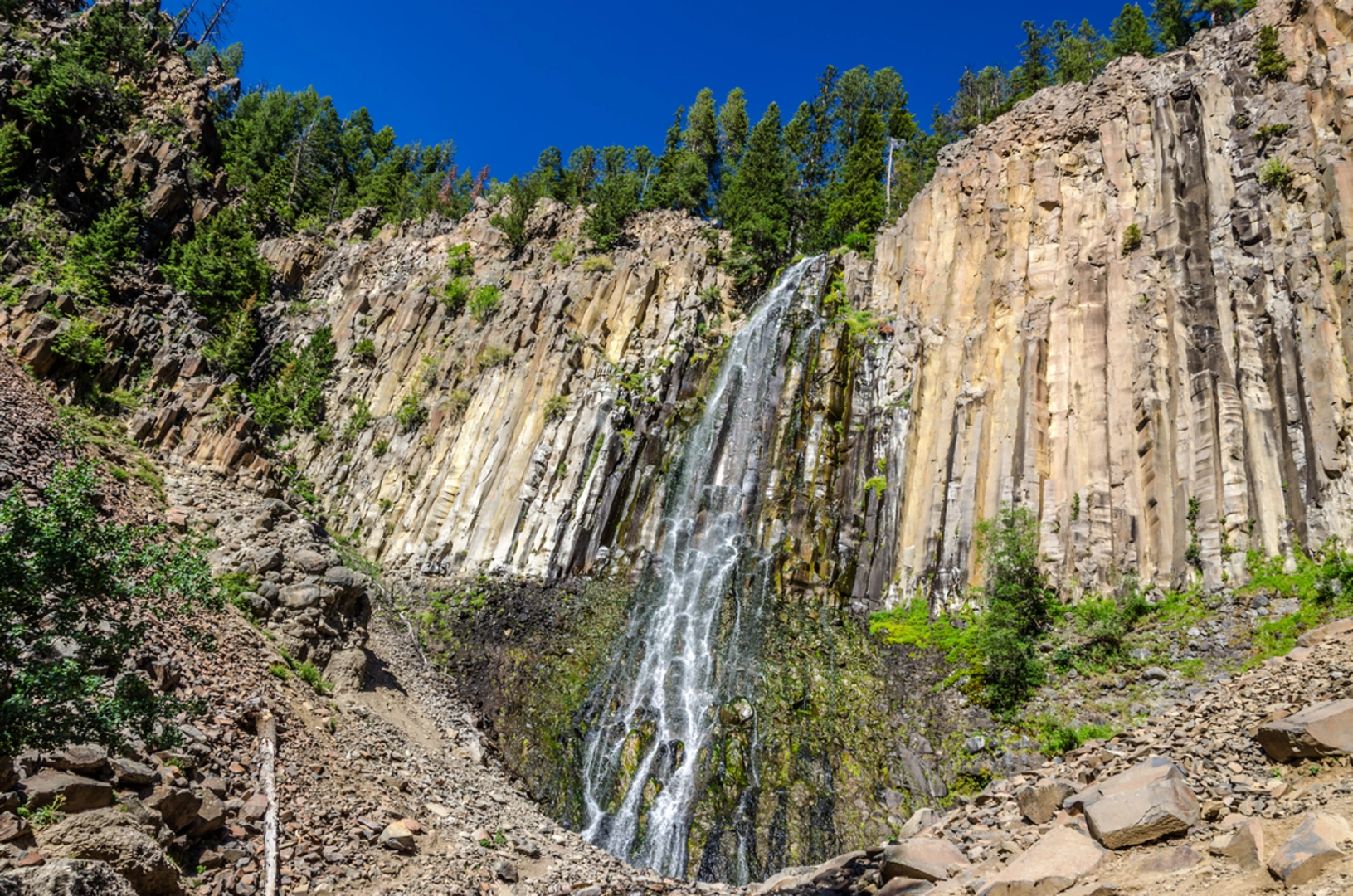 An image depicting the trail East Fork Divide Trail and its surrounding area.