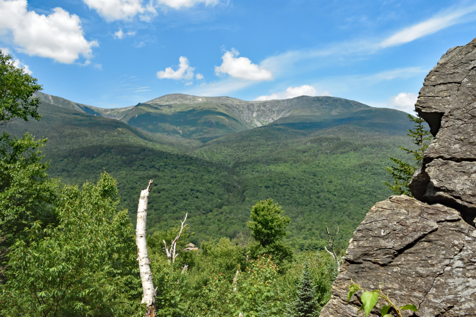 An image depicting the trail Square Ledge in Pinkham Notch and its surrounding area.