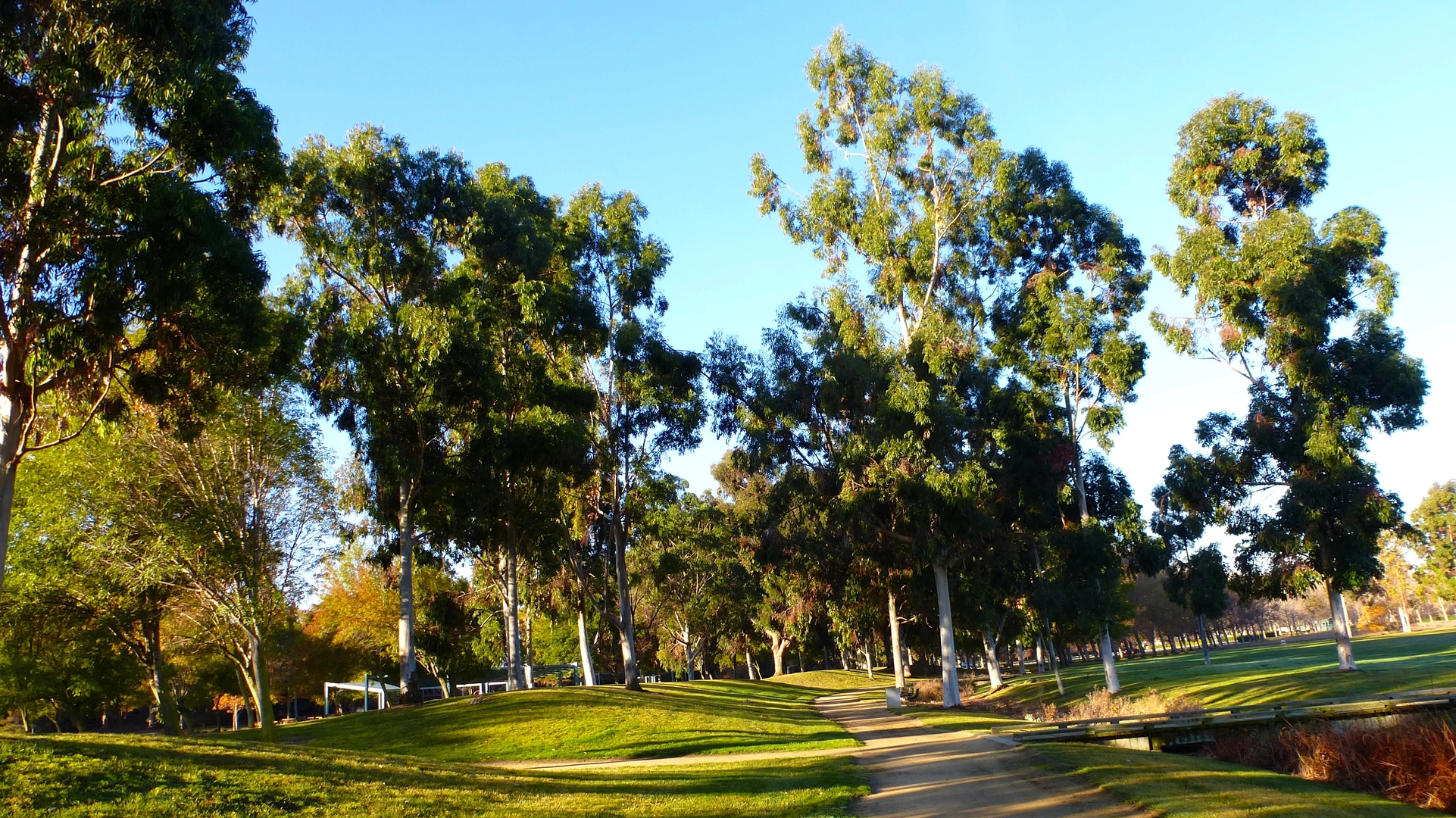 An image depicting the trail Sunnyvale Baylands Park Loop - Short and its surrounding area.