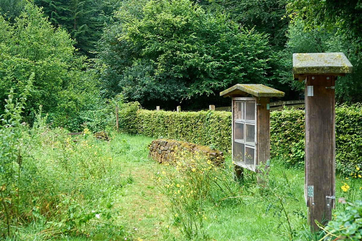 Rundweg A3 Wildpark and Grafenberger Hohenweg